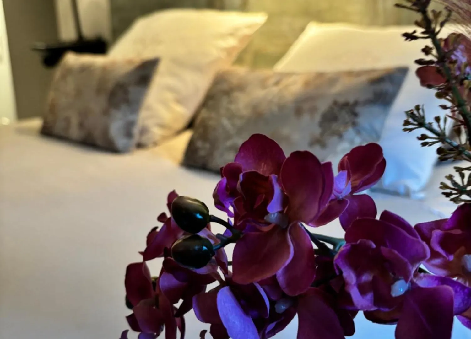 La Vie De Chateau Grignan Guest house